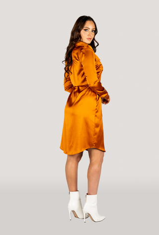 Why Mary "Jackie" Trench Coat Dress Rusty Orange