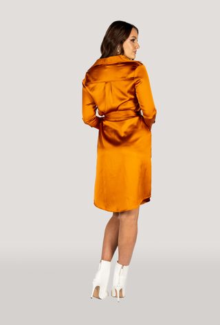 Why Mary "Jackie" Trench Coat Dress Rusty Orange