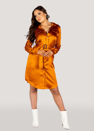 Why Mary burnt orange coat dress